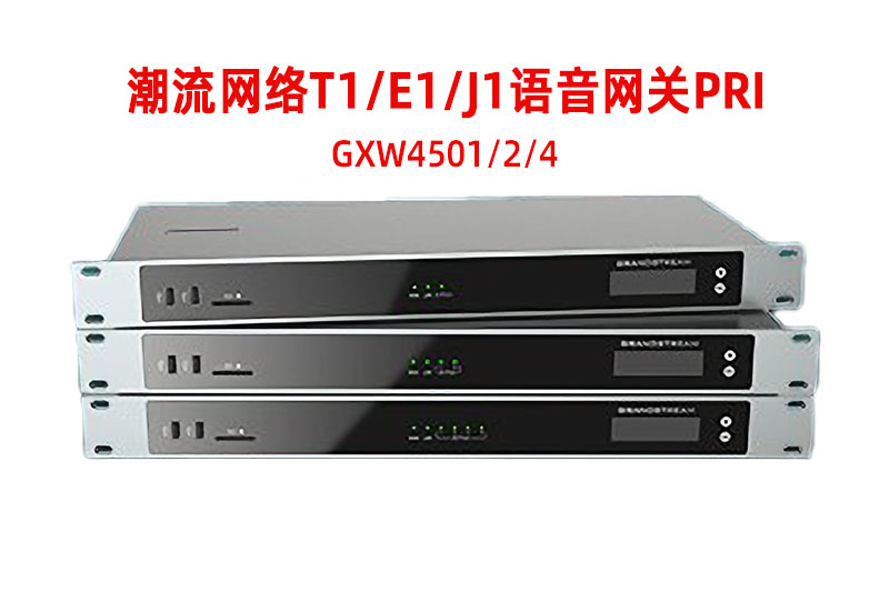 Grandstream潮流网络T1/E1/J1 GXW4501/02/04 IP语音网关P